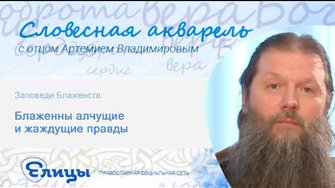 Блаженны алчущие и жаждущие правды. Протоиерей Артемий Владимиров