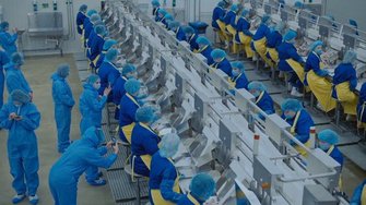 То, чего вы не знали о сельди