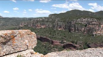 Непоседы клип Ангел летит