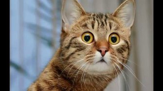 У друзей нет выходных. Если друг не смеётся - ты включи ему солнце. Посвящается всем, кто любит.