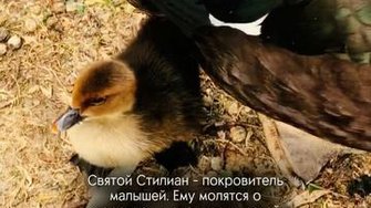 Кому молиться о здоровье и благополучии детей...