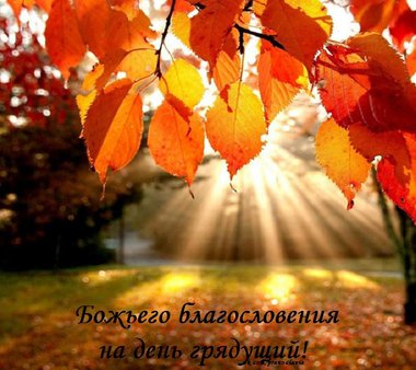 Вложение 1696278