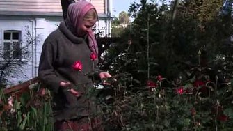 «Дорогою любви», режиссёр Елена Козенкова