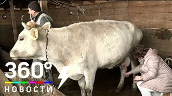 Агротуризм - новое слово для Подмосковья