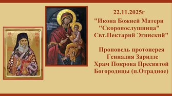 22.11.25г Икона Божией Матери 