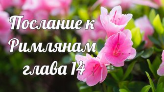 Послание к Римлянам глава 14