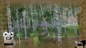 «БЕРЁЗОВЫЙ  СОК»
 ВИА 