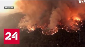 Огненный кошмар: почему горит Австралия - Россия 24