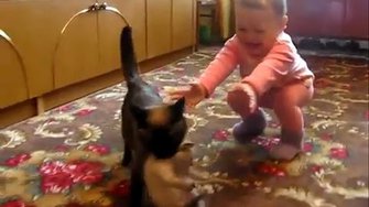 Кошка забрала котенка у ребёнка