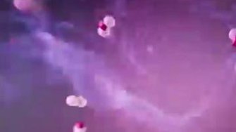 20 февраля - день памяти Прп. Парфе́ния, епископа Лампсаки́йского