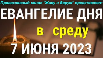 Евангелие дня. 7 июня 2023. Среда. Чтение от Матфея. О дубе и о желудях