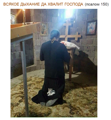Вложение 1772677