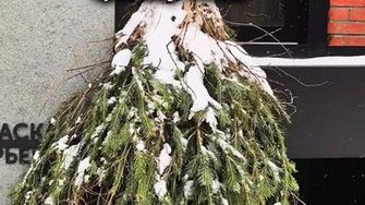 Если в твой дом принесут грязь...