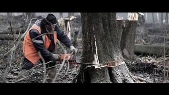 Записки Алтарника - в последний раз