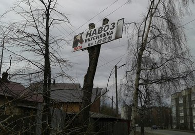 Вложение 1305857