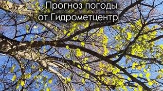 Самый верный прогноз погоды!