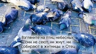 Вы гораздо лучше их...