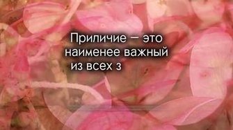 Прилично или не прилично?..