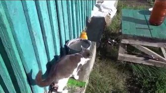 Стройка Века. Родовое поместье.