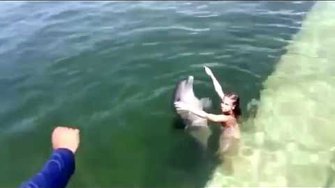 Девочка и дельфин, обалдеть