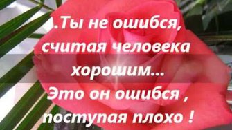 ... МУДРЫЕ МЫСЛИ ...