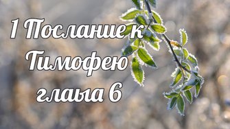 1 послание к Тимофею глава 6