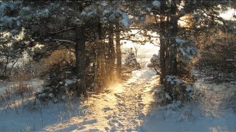 Зимние пейзажи Святогорья. 2016г.