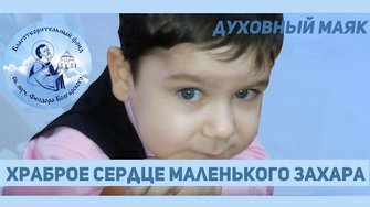 Соборное милосердие. Храброе сердце маленького Захара.