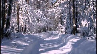 Бах Органная прелюдия.avi