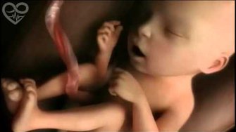 Беременность: от зачатия до родов (4-минутное анимационное видео)